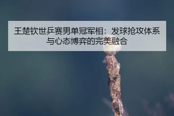 wang-chu-qin-shi-ping-sai-nan-dan-guan-jun-xiang-fa-qiu-qiang-gong-ti-xi-yu-xin-tai-bo-yi-de-wan-mei-rong-he-2-739.jpg