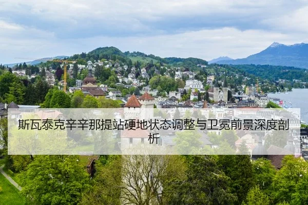 si-wa-tai-ke-xin-xin-na-ti-zhan-ying-di-zhuang-tai-tiao-zheng-yu-wei-mian-qian-jing-shen-du-pou-xi-3-952.jpg